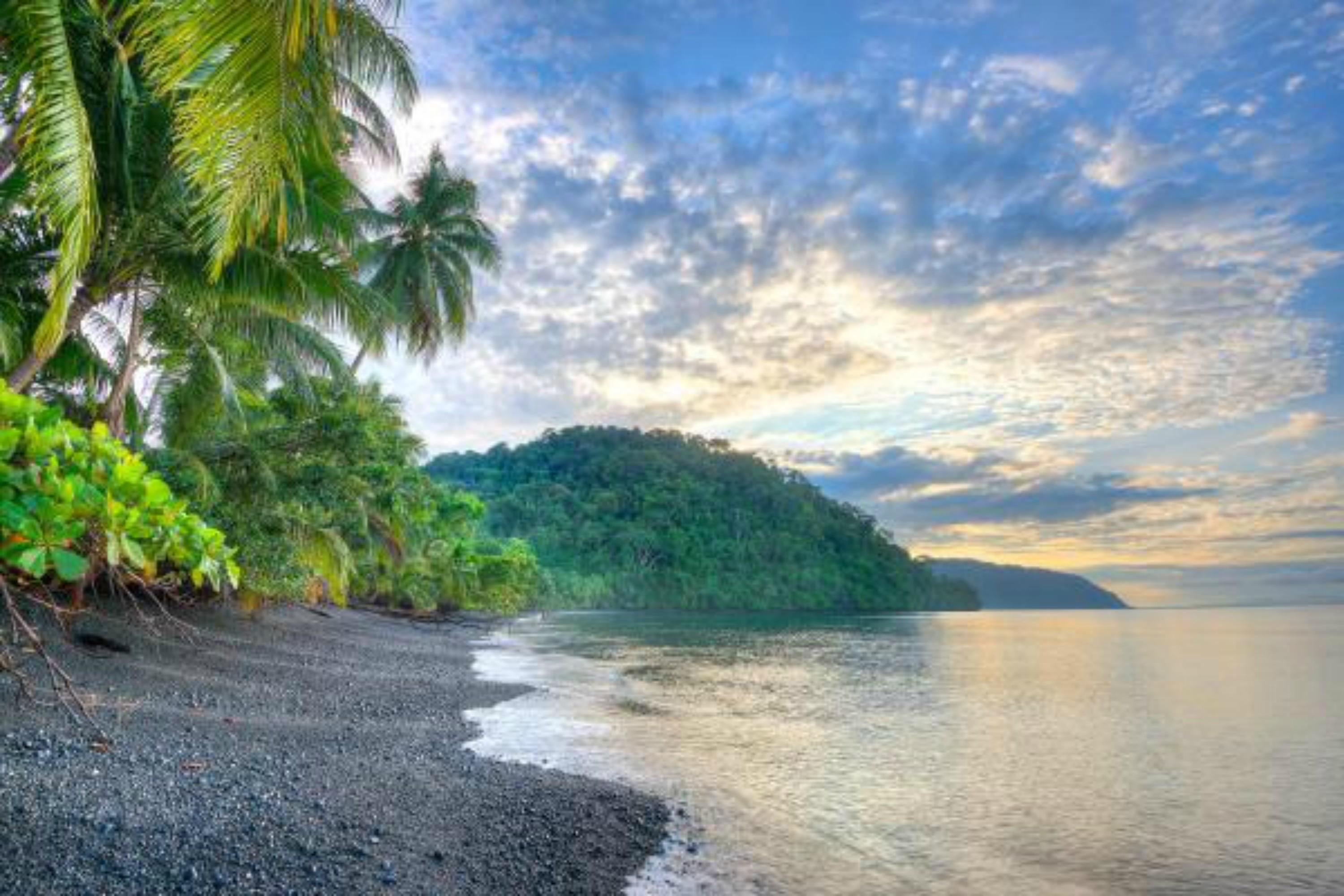 Playa Nicuesa Rainforest Eco Sanctuary Гольфито Экстерьер фото