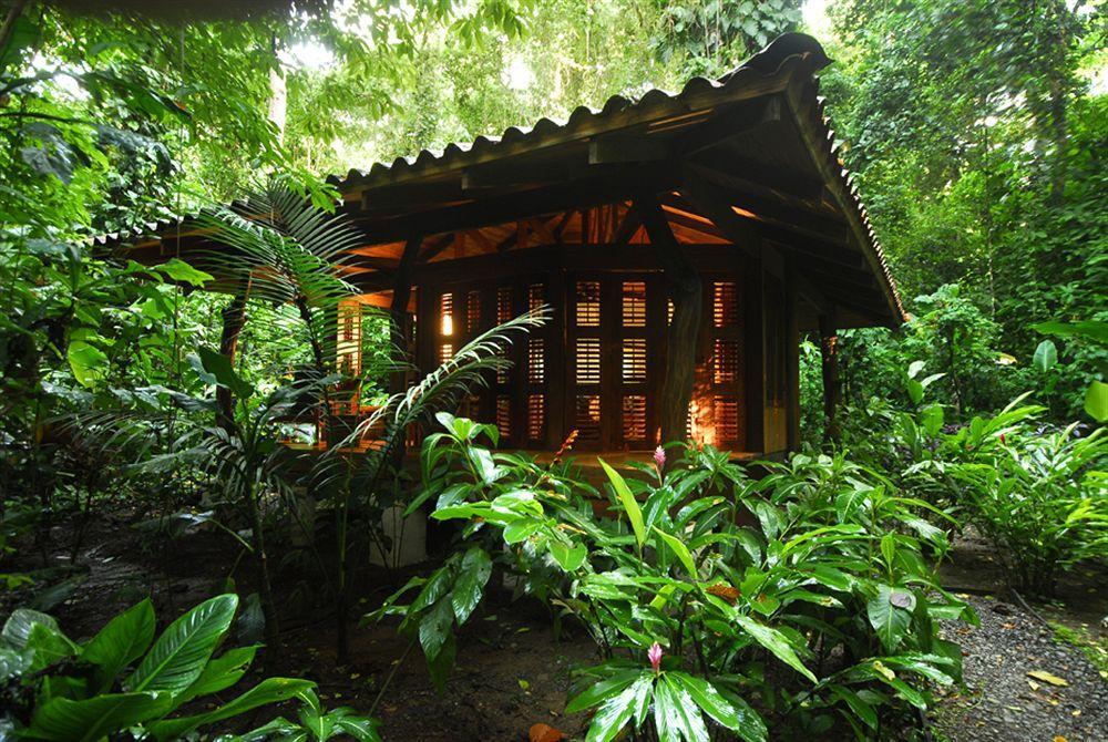 Playa Nicuesa Rainforest Eco Sanctuary Гольфито Экстерьер фото
